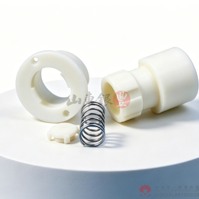 全塑啤酒桶单向阀总成